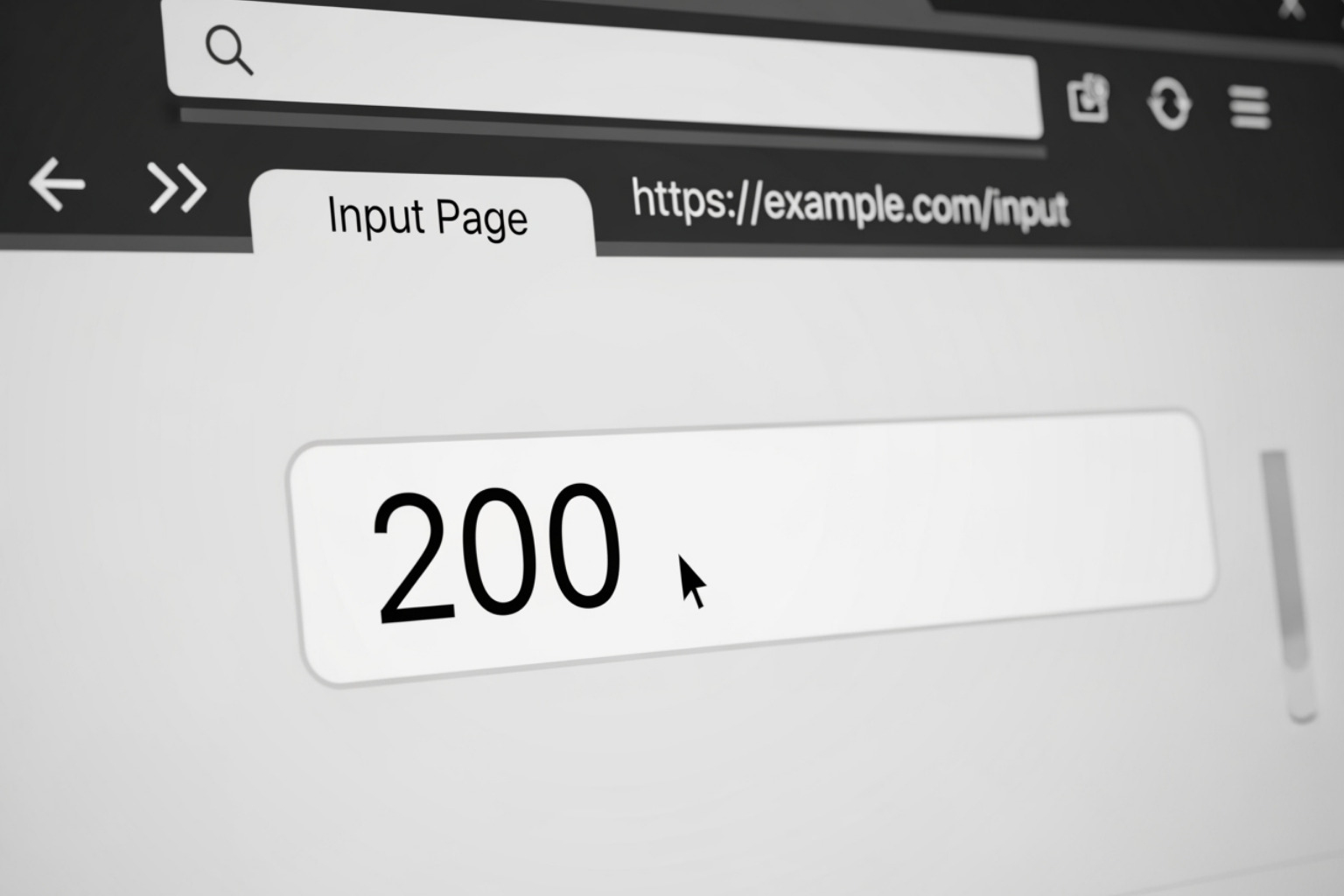 a website interface showing a text box with "200" entered for the number of barrel rolls - do a barrel roll x200