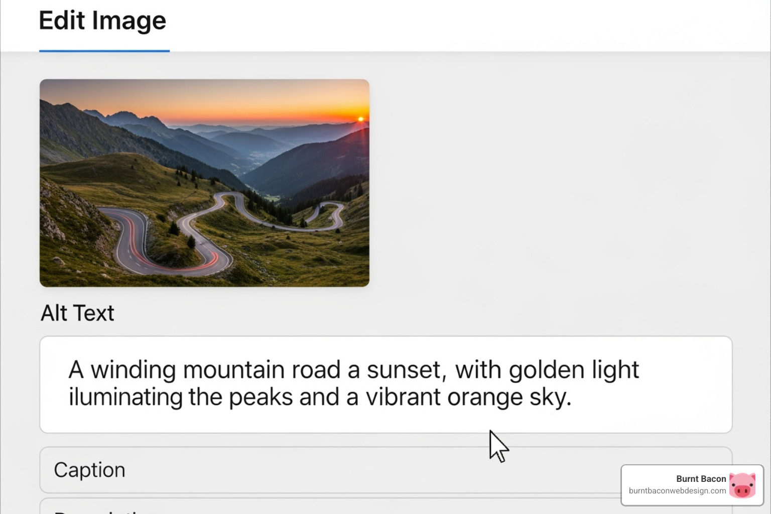 IMAGE showing how to add alt text in a CMS - SEO best practices