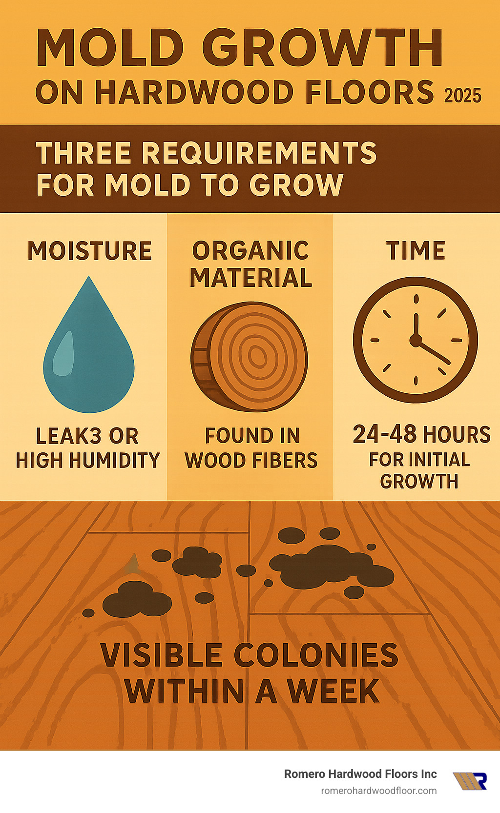 Infographic showing the three requirements for mold growth on hardwood floors: moisture from leaks or high humidity above 50%, organic material found in wood fibers, and time typically 24-48 hours for initial growth with visible colonies appearing within a week - black mold on hardwood floors infographic 