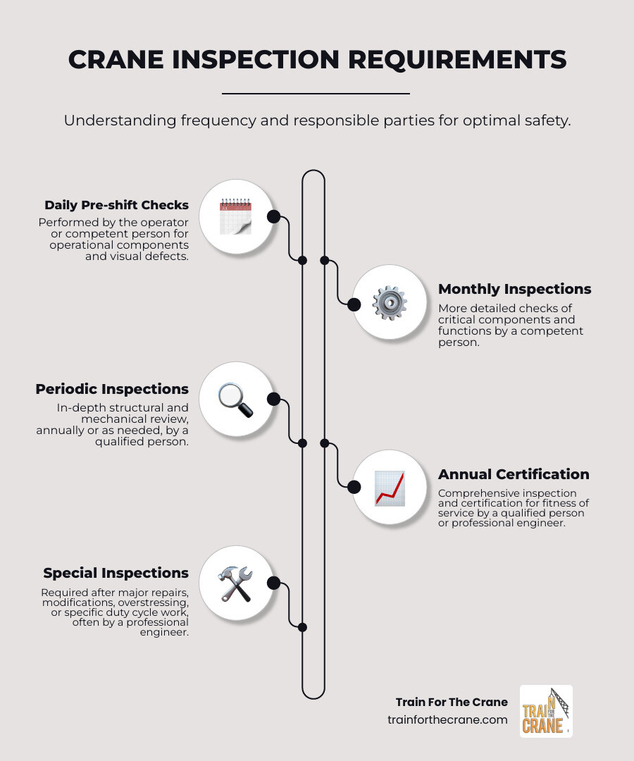 An infographic showing the various types of crane inspection requirements and their typical frequencies, including daily, monthly, and annual checks, along with the responsible parties (competent person, qualified person, professional engineer) - Crane boom inspection infographic infographic-line-5-steps-neat_beige