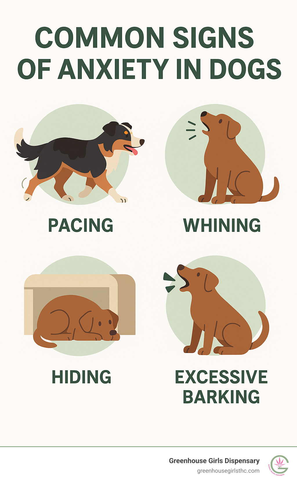 Infographic detailing common signs of anxiety in dogs, such as pacing, whining, hiding, and excessive barking - calming chews for dogs infographic 