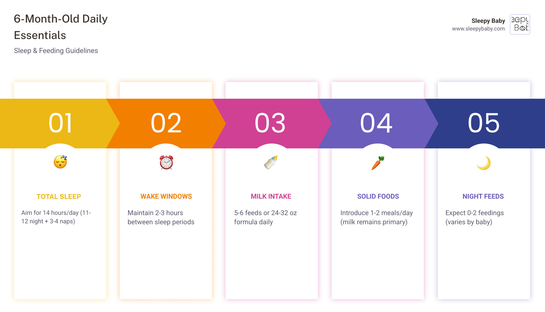Detailed infographic showing 6-month-old daily schedule with sleep windows, feeding times, nap durations, milk intake amounts, and solid food introduction timing throughout a 24-hour period - sleep and feeding schedule for 6 month old infographic
