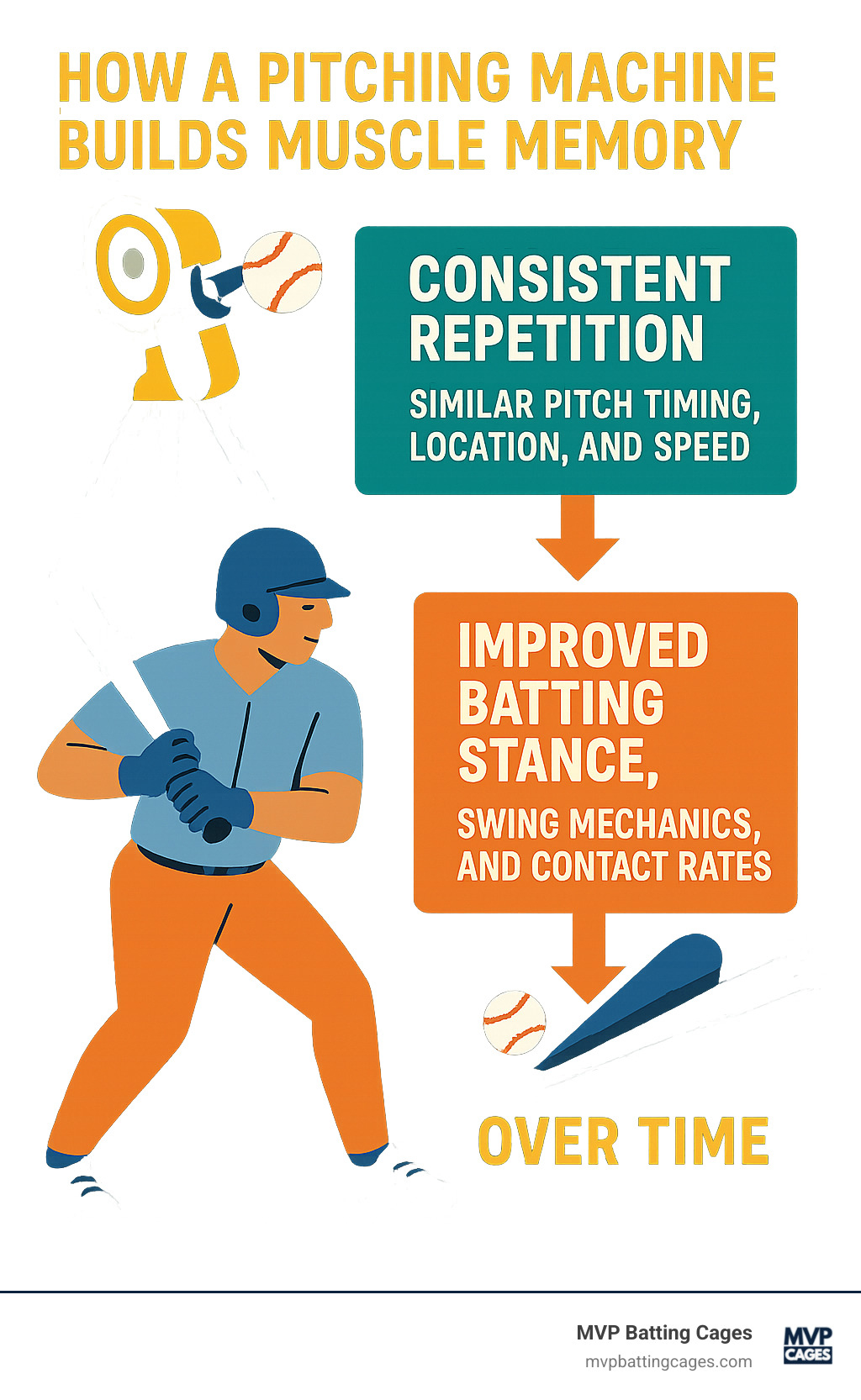 Infographic showing how consistent repetition from a pitching machine builds muscle memory through repeated exposure to similar pitch timing, location, and speed, leading to improved batting stance, swing mechanics, and contact rates over time - baseball pitching machines infographic 