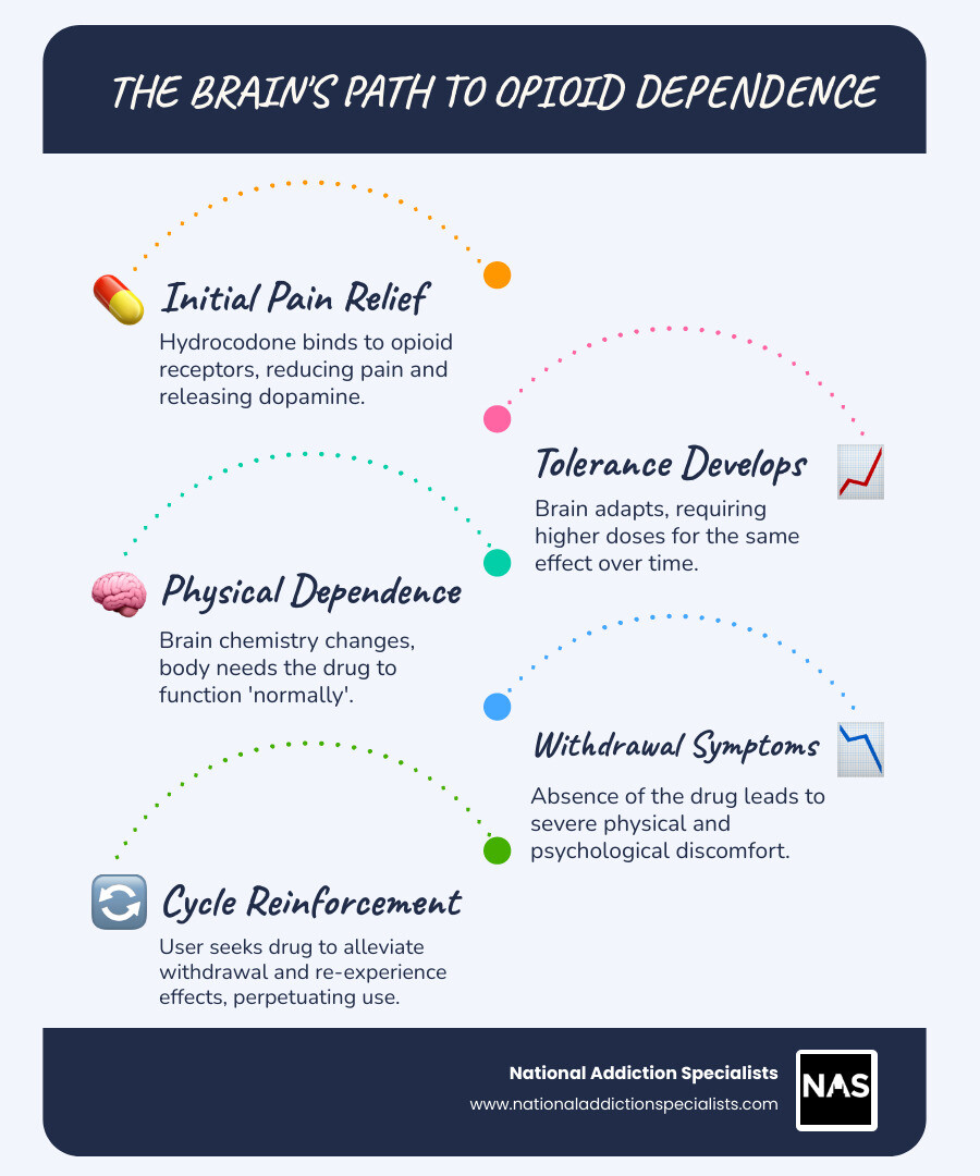 Infographic showing the brain's response to hydrocodone over time, illustrating how repeated use leads to tolerance and physical dependence, with arrows showing the progression from initial pain relief to requiring higher doses to avoid withdrawal symptoms - best way to get off hydrocodone infographic infographic-line-5-steps-blues-accent_colors