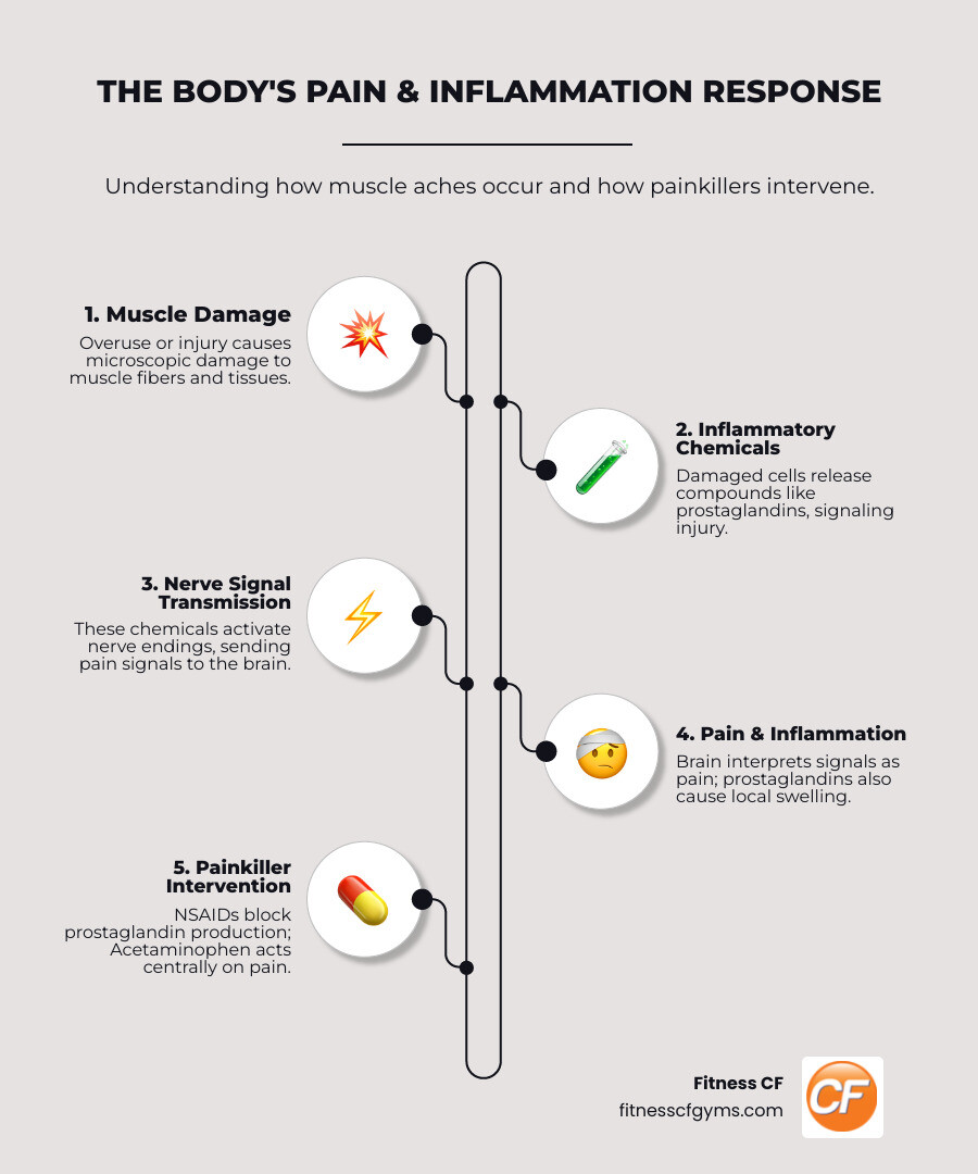 Comprehensive infographic showing the body's pain and inflammation response cycle, including how muscle damage triggers inflammatory chemicals, nerve signals traveling to the brain, and the different pathways that acetaminophen versus NSAIDs target to provide relief - painkillers for muscle aches infographic infographic-line-5-steps-neat_beige Comprehensive infographic showing the body's pain and inflammation response cycle, including how muscle damage triggers inflammatory chemicals, nerve signals traveling to the brain, and the different pathways that acetaminophen versus NSAIDs target to provide relief - painkillers for muscle aches infographic infographic-line-5-steps-neat_beige