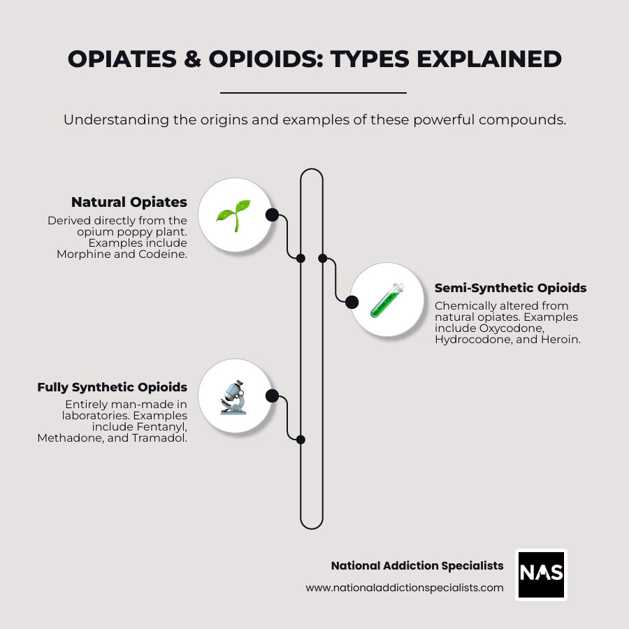 Comprehensive comparison showing natural opiates derived from poppy plants versus semi-synthetic opioids and fully synthetic opioids - opiate infographic infographic-line-3-steps-neat_beige