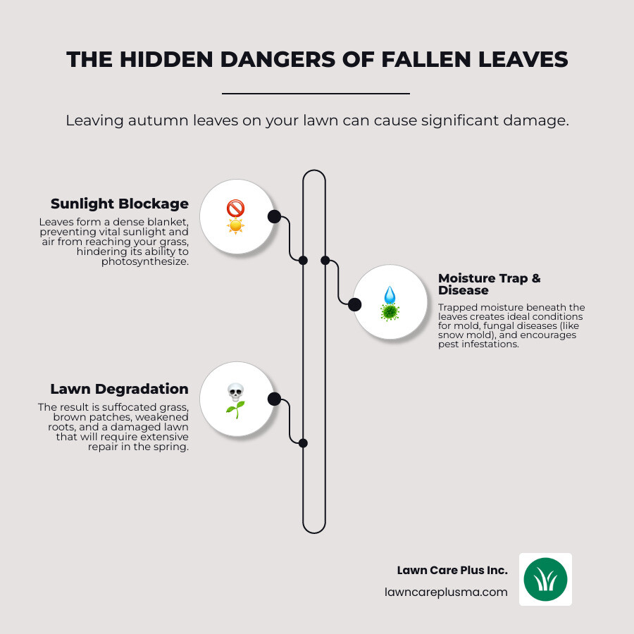 Infographic showing how thick leaf layers block sunlight from reaching grass, trap moisture creating fungal growth conditions, and provide shelter for pests, ultimately leading to brown patches and lawn damage in spring - leaf cleaning service near me infographic infographic-line-3-steps-neat_beige Infographic showing how thick leaf layers block sunlight from reaching grass, trap moisture creating fungal growth conditions, and provide shelter for pests, ultimately leading to brown patches and lawn damage in spring - leaf cleaning service near me infographic infographic-line-3-steps-neat_beige