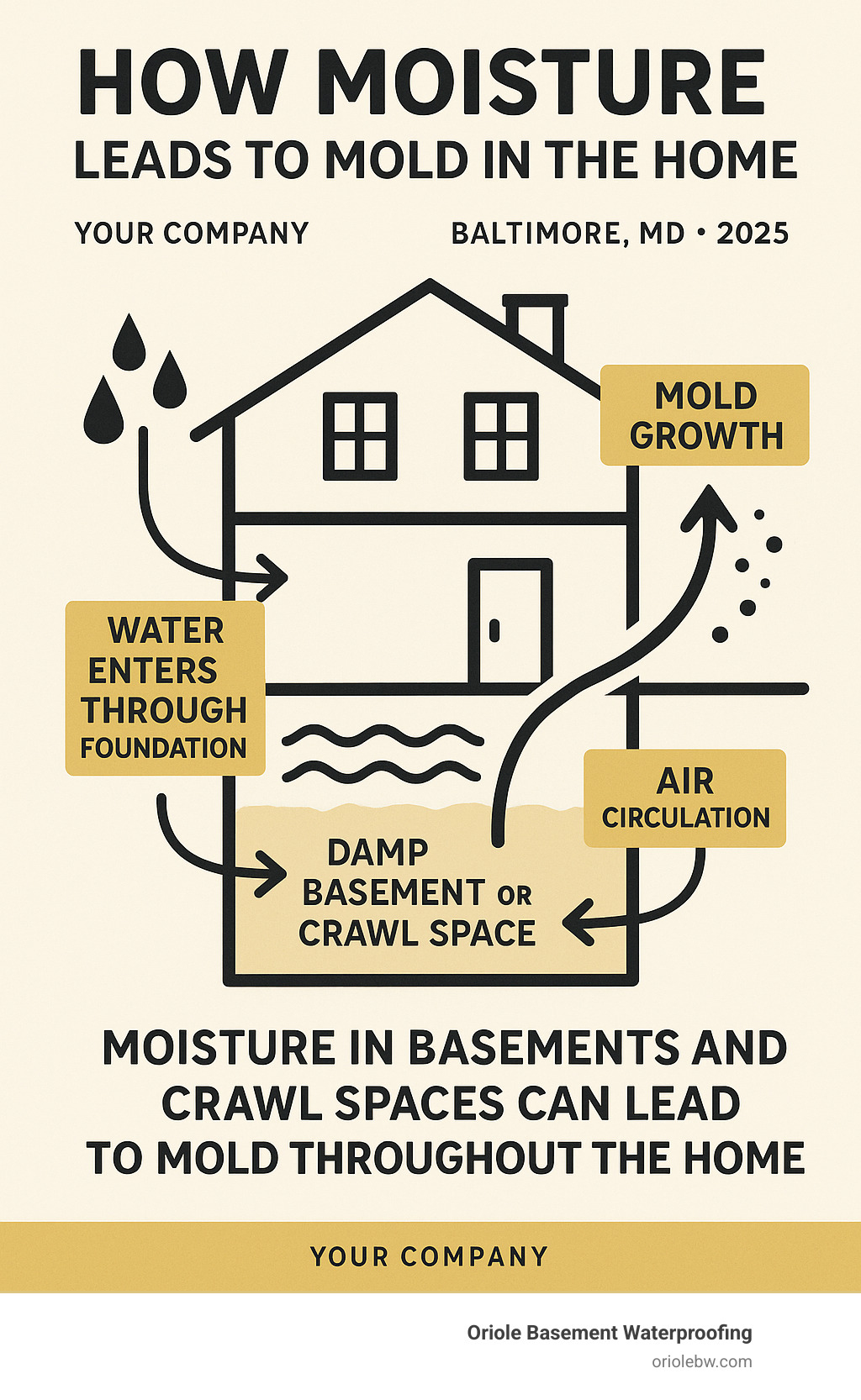 Infographic explaining how moisture in basements and crawl spaces leads to mold growth throughout a home, showing the pathway from exterior water entry through foundation to interior air circulation - residential mold remediation baltimore md infographic 