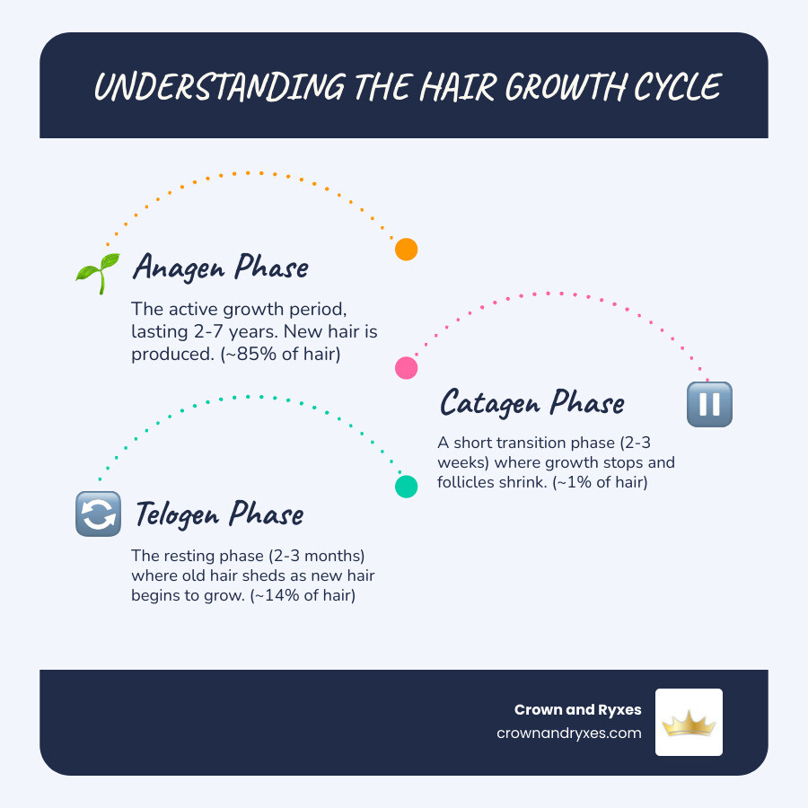 Detailed infographic showing the three phases of hair growth cycle: Anagen (growth phase lasting 2-7 years), Catagen (transition phase lasting 2-3 weeks), and Telogen (resting phase lasting 2-3 months), with illustrations of hair follicles at each stage and percentages showing 85% of hair in anagen, 1% in catagen, and 14% in telogen phases - best herbal remedy for hair loss infographic infographic-line-3-steps-blues-accent_colors