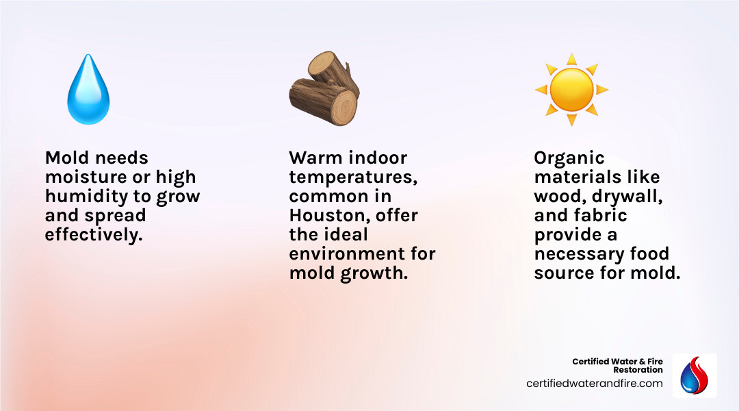 Infographic detailing the three requirements for mold growth: moisture, food source, and warmth, with icons representing each element - mold prevention Houston infographic 3_facts_emoji_light-gradient