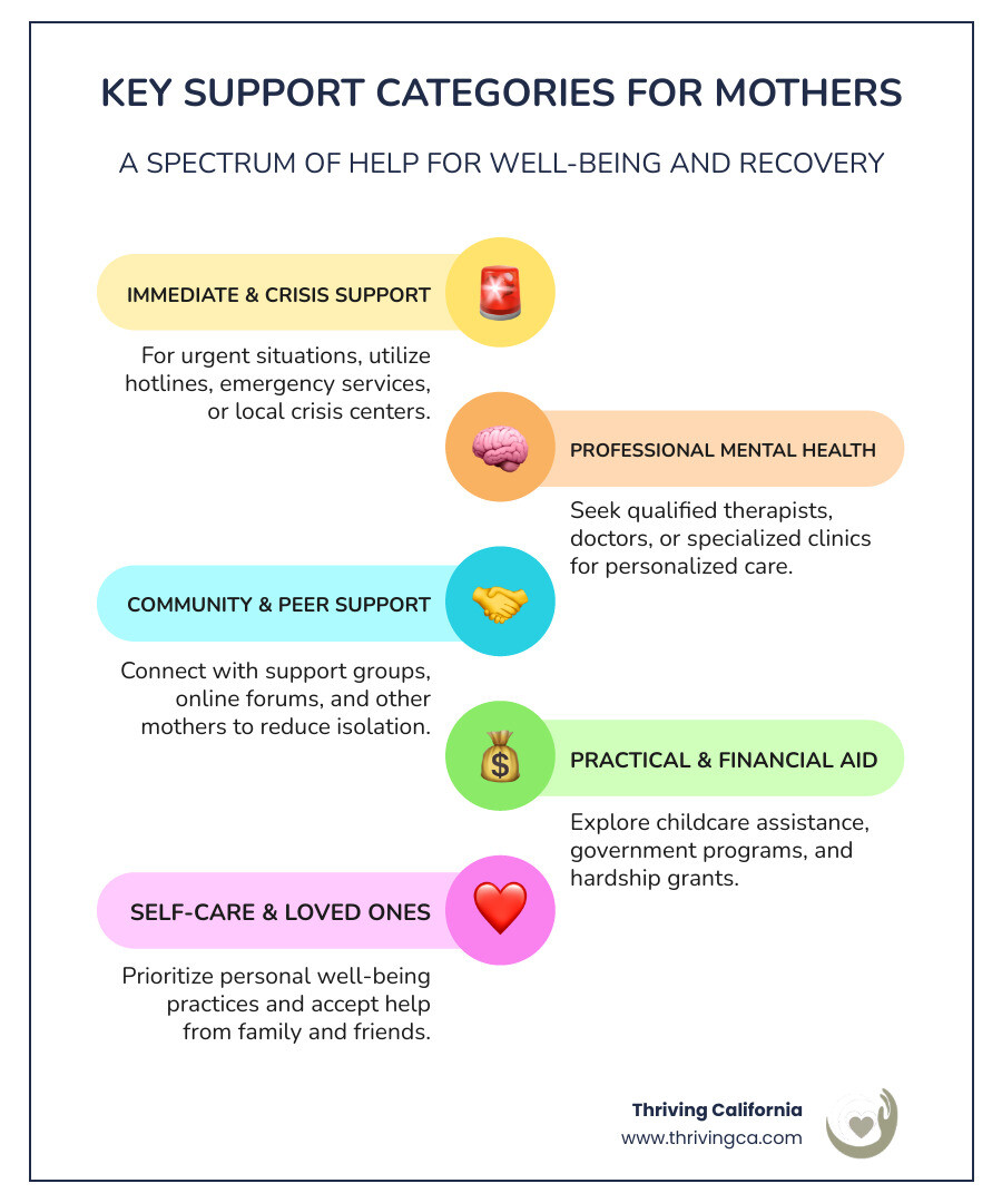 Infographic detailing key support categories for struggling mothers, including mental health resources, financial aid, and community support. - support for struggling mothers infographic infographic-line-5-steps-colors