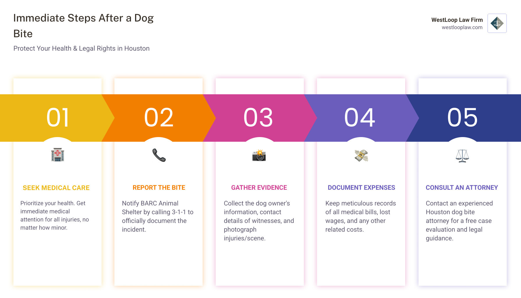 Infographic showing immediate steps after a dog bite in Houston: 1) Seek medical attention immediately, 2) Report the bite to BARC Animal Shelter by calling 3-1-1, 3) Gather owner and witness information, 4) Photograph injuries and the scene, 5) Keep all medical records and bills, 6) Contact an experienced Houston dog bite attorney for a free consultation - houston dog bite attorney infographic pillar-5-steps