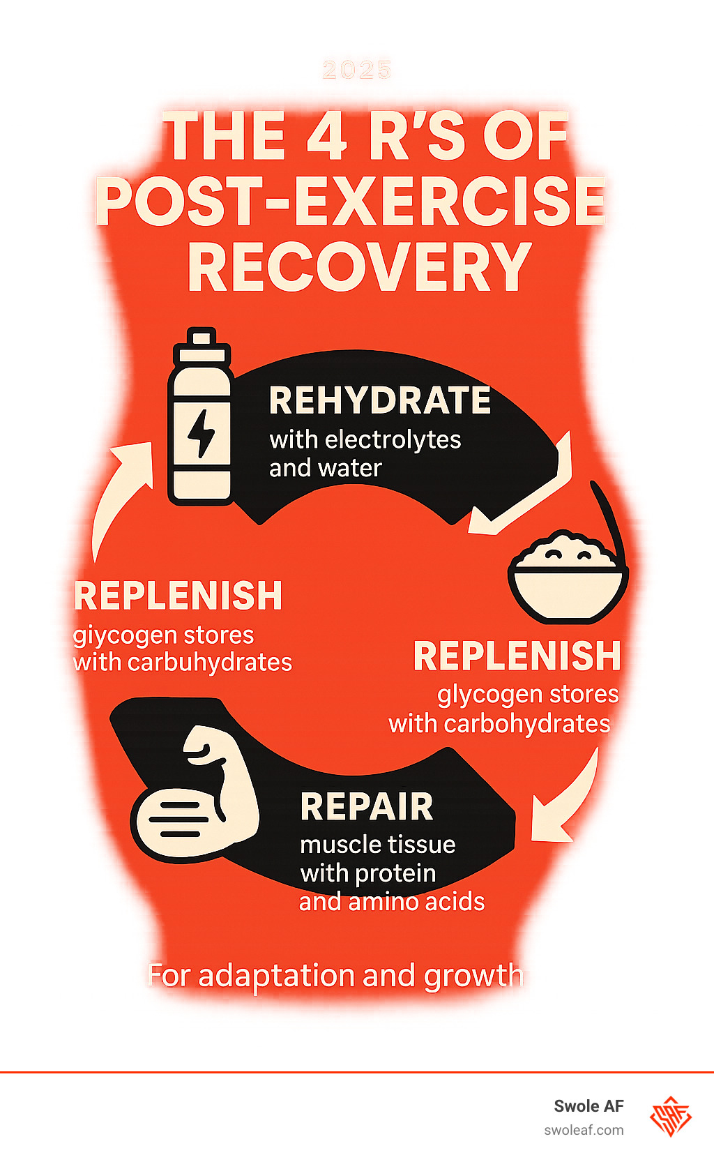 Infographic showing the 4 R's of post-exercise recovery: Rehydrate with electrolytes and water, Replenish glycogen stores with carbohydrates, Repair muscle tissue with protein and amino acids, Rest for adaptation and growth - with icons and arrows showing the cyclical nature of recovery - post exercise recovery supplements infographic 