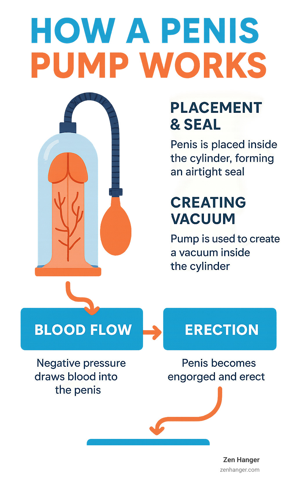 Infographic explaining the mechanism of a penis pump - penis pump side effects infographic 