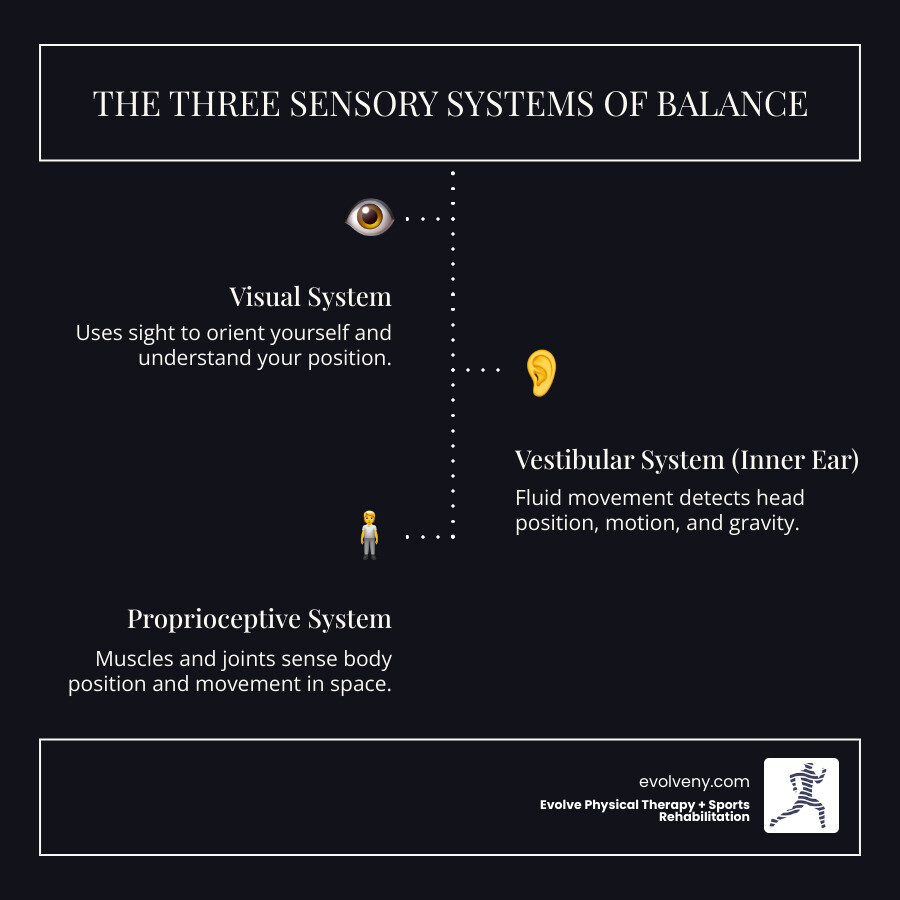 Infographic showing the three sensory systems that control balance: visual system with an eye icon showing how we use sight to orient ourselves, vestibular system with an inner ear diagram showing how fluid movement detects head position and motion, and proprioceptive system with a leg and joint illustration showing how muscles and joints sense body position in space - Physical therapy for balance infographic infographic-line-3-steps-dark