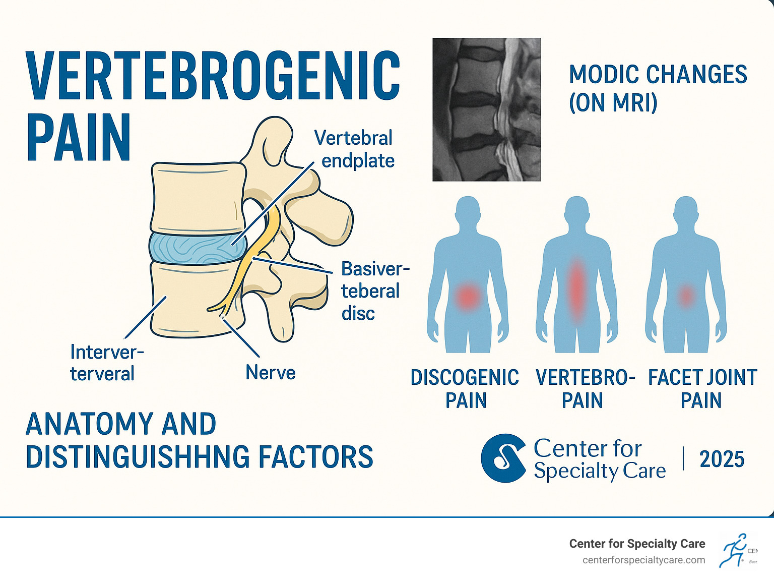Infographic showing the anatomy of vertebrogenic pain including the vertebral endplate, basivertebral nerve pathway, and comparison with discogenic and facet joint pain sources, highlighting how Modic changes appear on MRI scans and the typical pain patterns experienced by patients - vertebrogenic low back pain infographic 