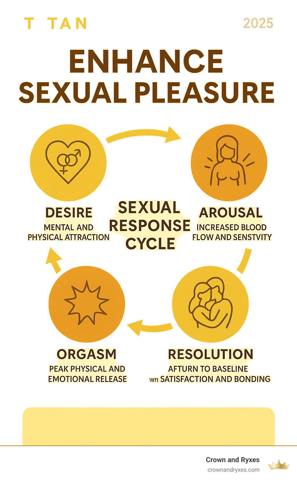 Infographic showing the sexual response cycle with four connected stages: Desire (mental and physical attraction), Arousal (increased blood flow and sensitivity), Orgasm (peak physical and emotional release), and Resolution (return to baseline with satisfaction and bonding) - Improve sexual pleasure infographic 