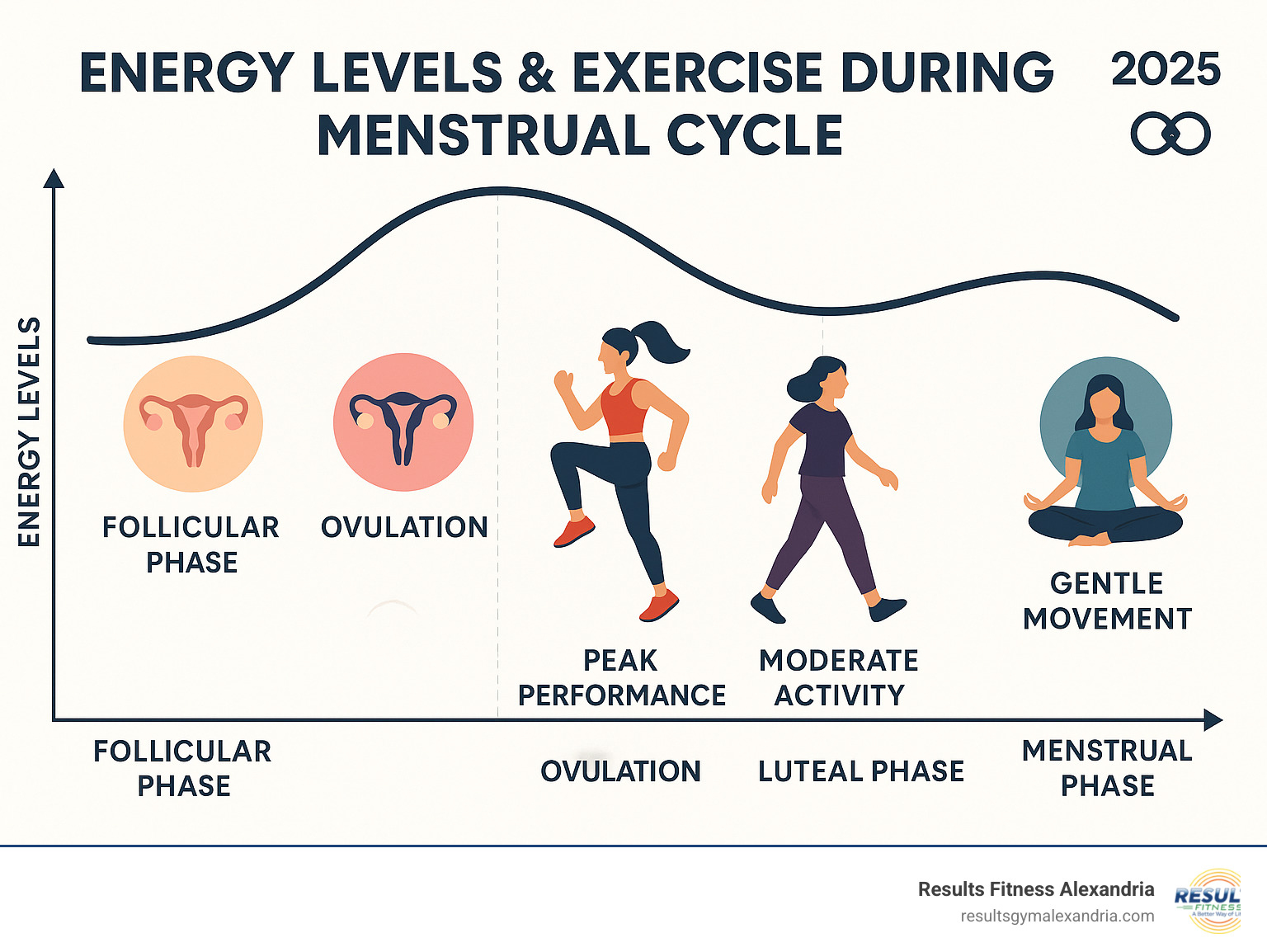 Infographic showing how women's energy levels and exercise capacity fluctuate during the four phases of the menstrual cycle, with recommended workout intensities and types for each phase including follicular phase high-intensity training, ovulation peak performance, luteal phase moderate activity, and menstrual phase gentle movement - womens health and fitness infographic 
