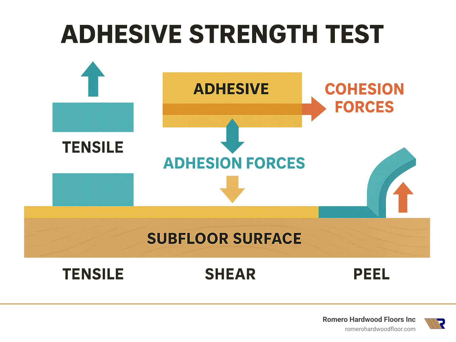 Infographic showing adhesion forces between adhesive and subfloor surface versus cohesion forces within the adhesive material, with arrows indicating tensile, shear, and peel forces that adhesive strength tests measure - Adhesive strength test infographic 