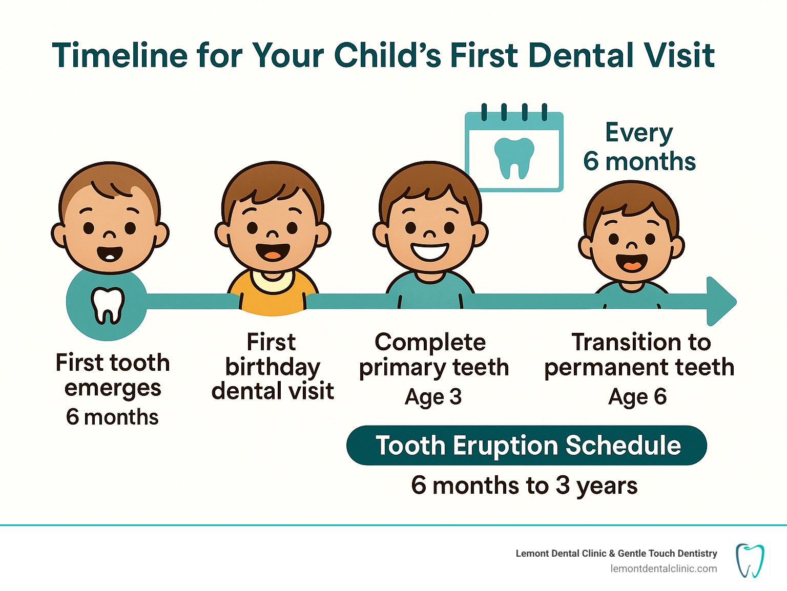 Comprehensive infographic showing timeline for child's first dental visit, tooth eruption schedule from 6 months to 3 years, recommended visit frequency every 6 months, and key milestones including first tooth emergence, first birthday dental visit, complete primary teeth by age 3, and transition to permanent teeth starting around age 6 - kids dentist near palos hills infographic 