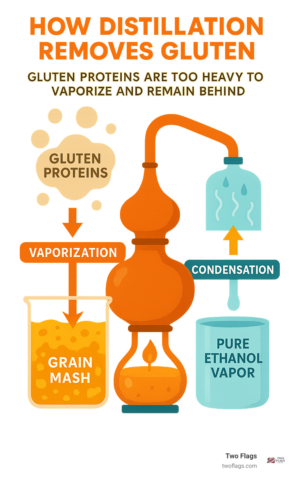 Infographic showing how the distillation process removes gluten proteins through vaporization and condensation, with grain mash on one side and pure ethanol vapor on the other, demonstrating that gluten proteins are too heavy to vaporize and remain behind during distillation - vodka gluten free infographic 