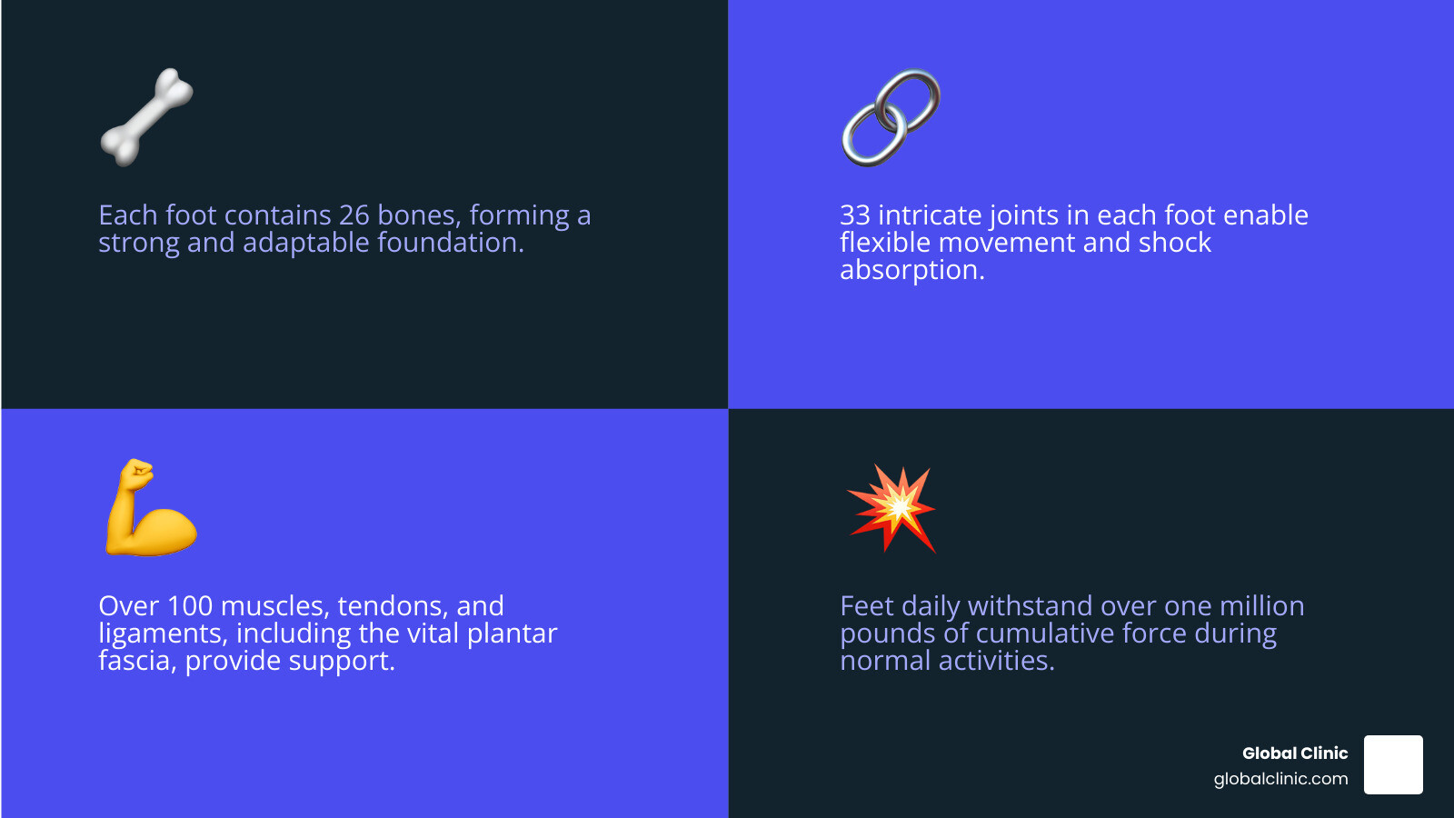 Detailed infographic showing the complex anatomy of the human foot, highlighting 26 bones including the heel bone, metatarsals, and phalanges, 33 joints including the ankle joint and midfoot joints, major ligaments like the plantar fascia connecting heel to toes, tendons including the Achilles tendon, and muscles that control foot movement and arch support - foot pain podiatry infographic 4_facts_emoji_blue