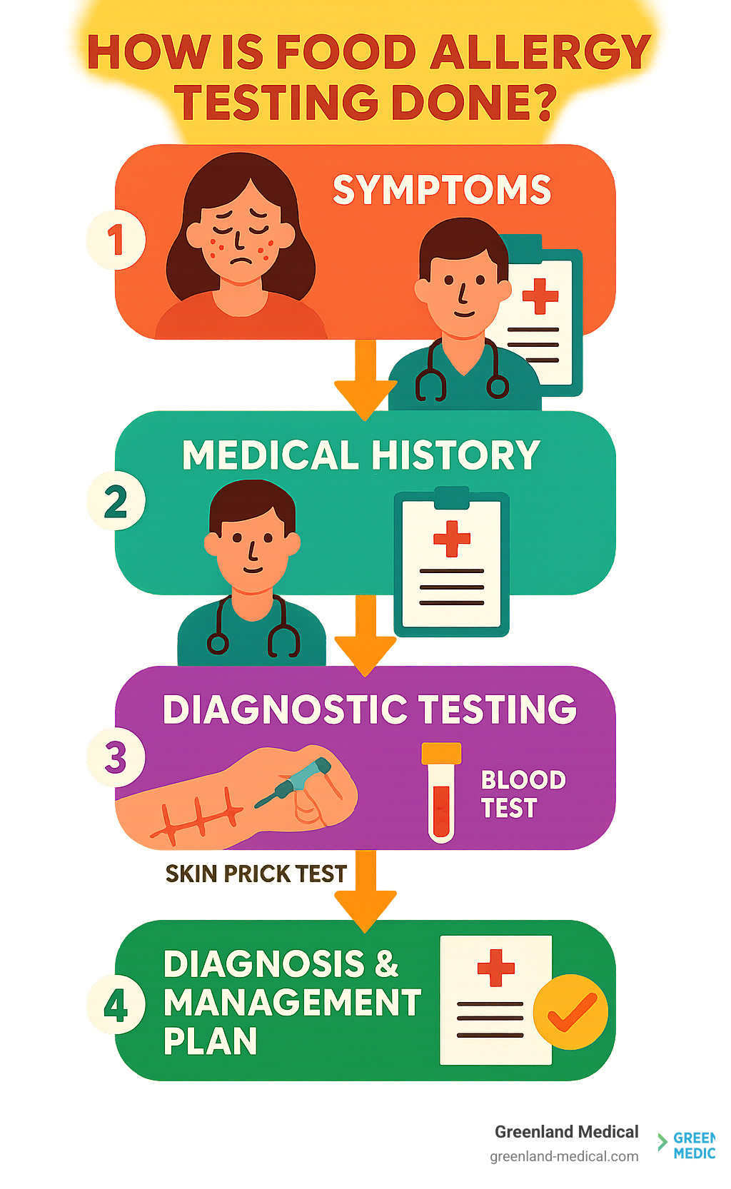 Step-by-step food allergy testing process from initial symptoms through medical history, diagnostic testing including skin prick tests and blood work, to final diagnosis and management plan creation - how is food allergy testing done infographic 
