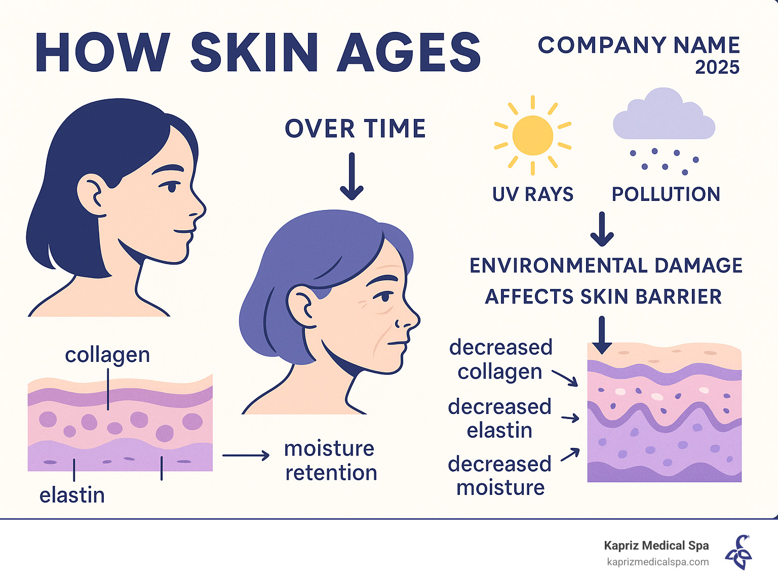 Infographic showing how skin ages over time with decreased collagen, elastin, and moisture retention, plus environmental damage from UV rays and pollution affecting the skin barrier - daytime moisturizer for aging skin infographic Infographic showing how skin ages over time with decreased collagen, elastin, and moisture retention, plus environmental damage from UV rays and pollution affecting the skin barrier - daytime moisturizer for aging skin infographic