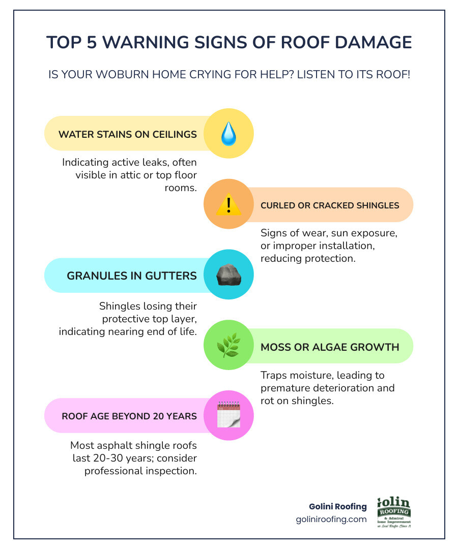 Infographic showing top 5 warning signs of roof damage including water stains on ceilings, curled or missing shingles, granules in gutters, moss growth, and aging beyond 20 years with inspection recommendations - roofing company Woburn MA infographic infographic-line-5-steps-colors Infographic showing top 5 warning signs of roof damage including water stains on ceilings, curled or missing shingles, granules in gutters, moss growth, and aging beyond 20 years with inspection recommendations - roofing company in Woburn MA infographic infographic-line-5-steps-colors
