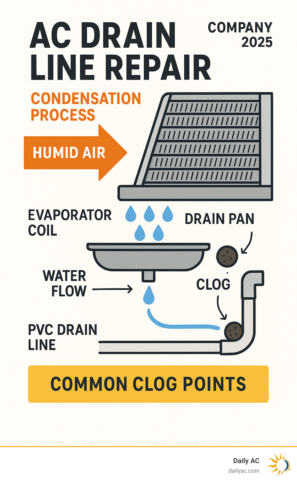 Detailed infographic showing AC condensation process from evaporator coil to drain pan to PVC drain line, highlighting common clog points and water flow direction through the system - ac drain line repair infographic 