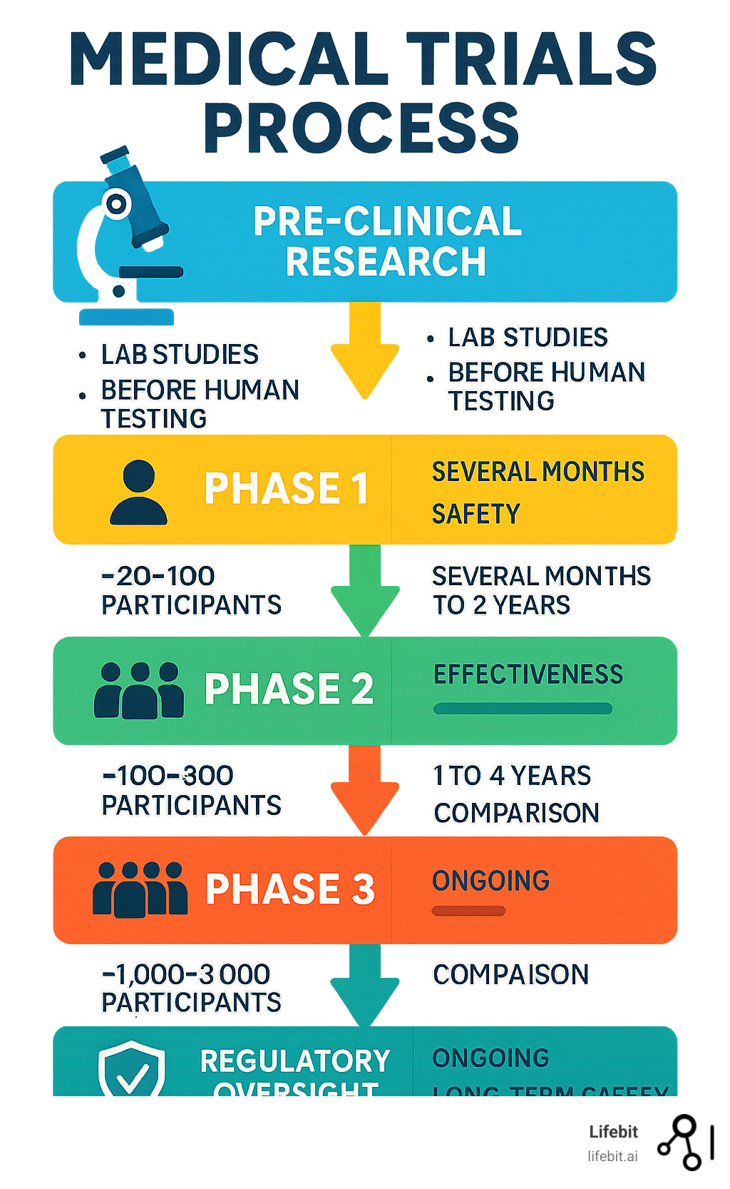 Infographic showing the complete medical trial process from pre-clinical research through Phase 4 trials, including participant numbers, timeline, regulatory oversight, and safety protections at each stage - medical trials infographic 