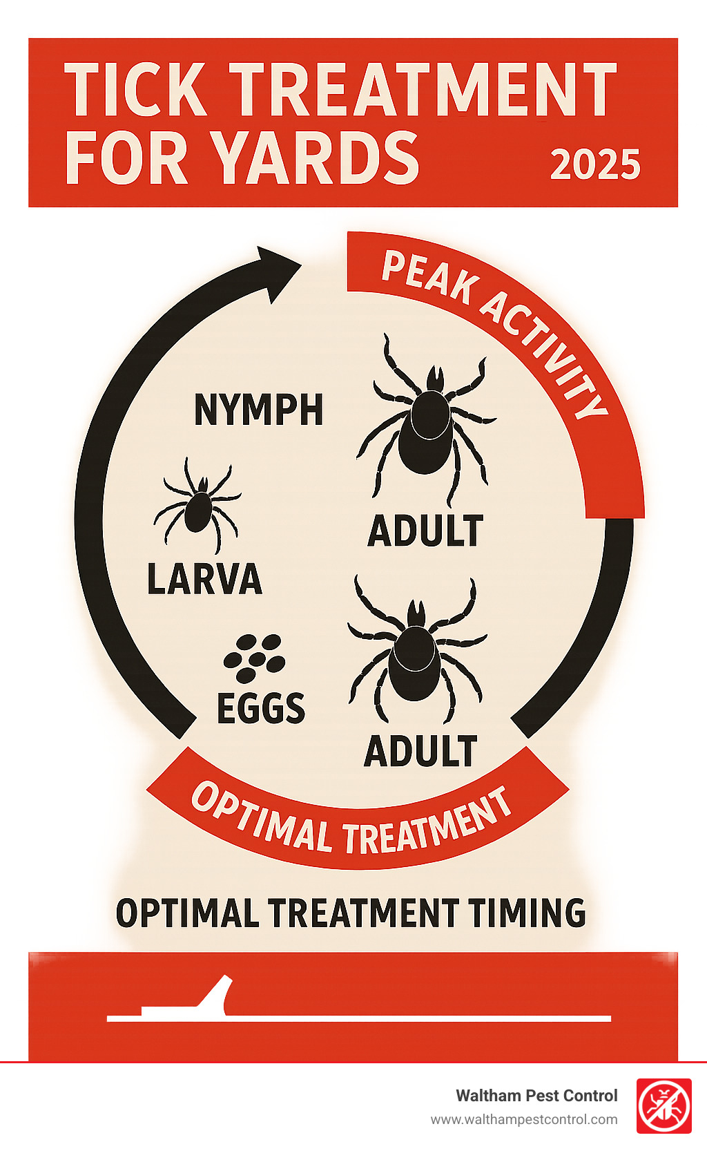 Comprehensive infographic showing the four-stage life cycle of black-legged ticks from egg to larva to nymph to adult, highlighting peak activity periods in spring for nymphs and fall for adults, along with optimal treatment timing windows - tick treatment for yards infographic 