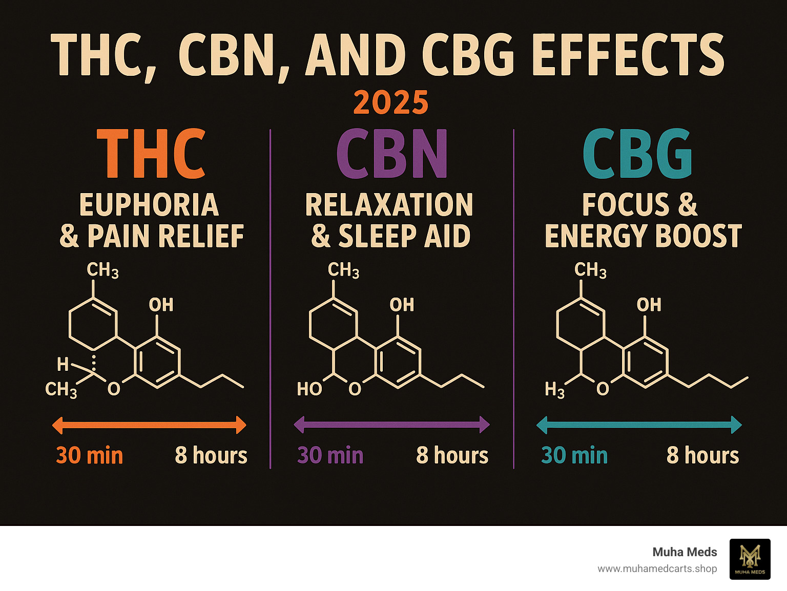 Infographic showing THC for euphoria and pain relief, CBN for relaxation and sleep aid, and CBG for focus and energy boost with their respective molecular structures and effect timelines - Muha Meds gummies infographic 