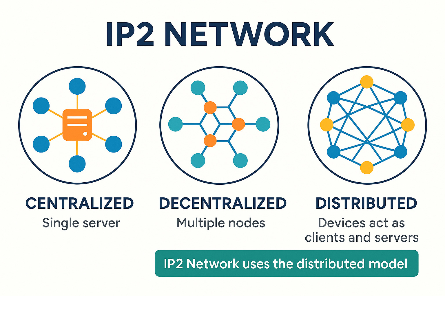 Infographic showing the differences between centralized networks with single server points, decentralized networks with multiple interconnected nodes, and distributed networks where every device acts as both client and server, highlighting how IP2 Network uses the distributed model for improved privacy and resilience -  ip2 network infographic 