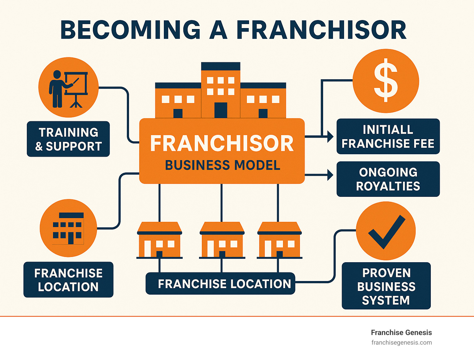 Detailed infographic showing the franchising process: a central franchisor business model with multiple franchise locations, revenue streams including initial franchise fees and ongoing royalties, franchisor responsibilities for training and support, and franchisee benefits of proven business systems - Becoming a franchisor infographic 
