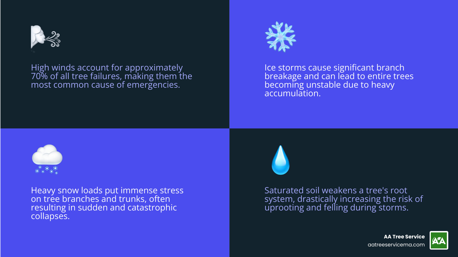 Infographic showing the top causes of tree emergencies including high winds at 70% of cases, ice storms causing branch breakage, root decay from saturated soil, lightning strikes, and heavy snow loads, with icons depicting each cause and safety warnings - emergency tree service near me infographic 4_facts_emoji_blue Infographic showing the top causes of tree emergencies including high winds at 70% of cases, ice storms causing branch breakage, root decay from saturated soil, lightning strikes, and heavy snow loads, with icons depicting each cause and safety warnings - emergency tree service near me infographic 4_facts_emoji_blue