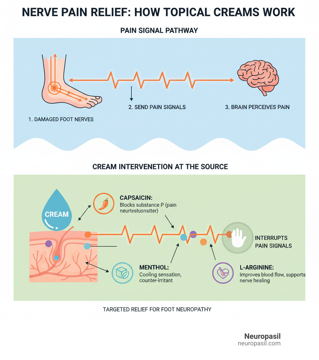 Detailed infographic showing how nerve pain signals travel from damaged foot nerves to the brain, and how topical creams with different active ingredients (capsaicin, menthol, L-arginine) interrupt these pain signals at the source through skin absorption and targeted nerve receptor interaction - foot neuropathy cream infographic 