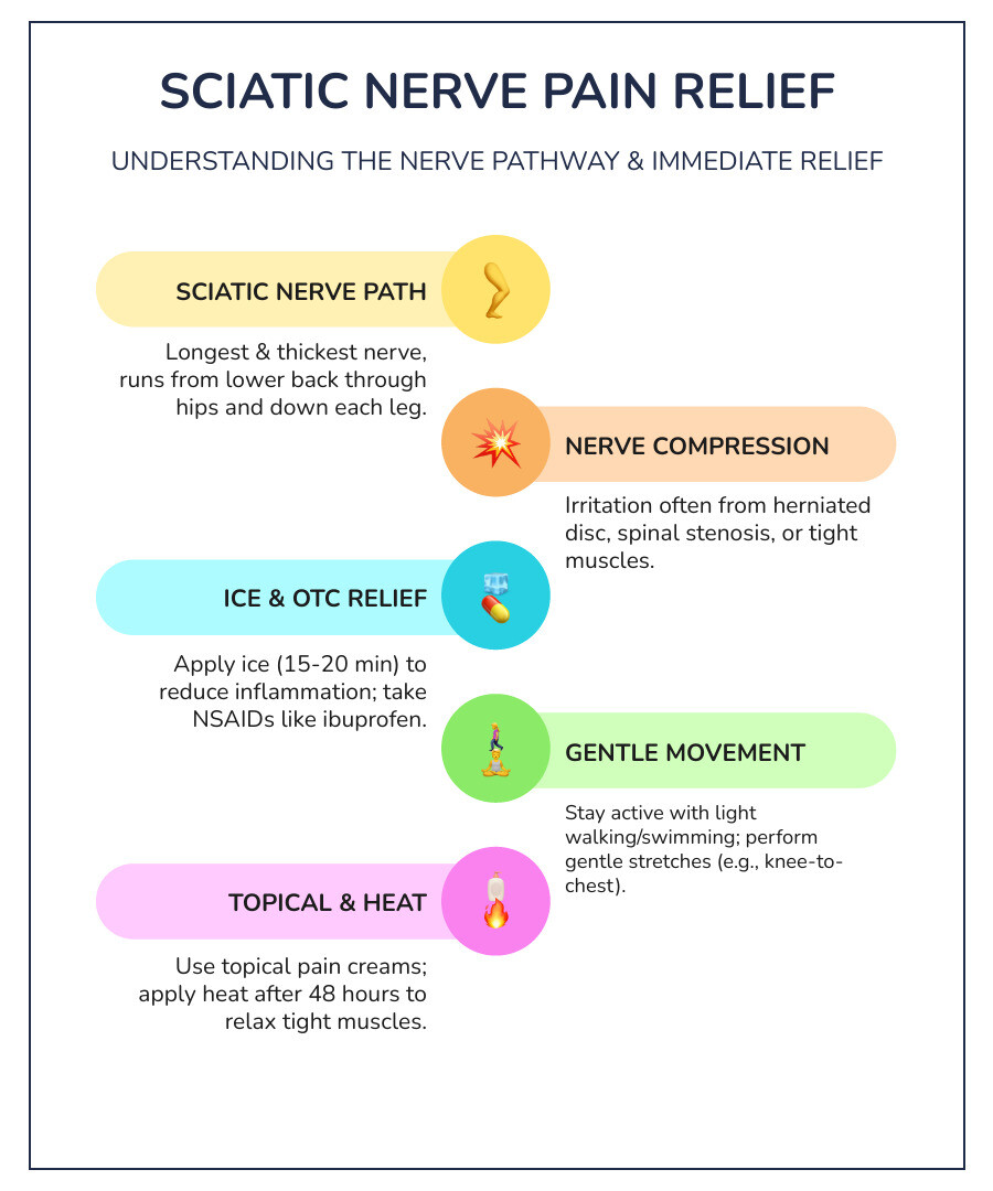 Infographic showing the sciatic nerve pathway from the lower spine through the buttocks and down each leg, with common pain points highlighted and immediate relief methods illustrated - how to relieve sciatic nerve pain infographic infographic-line-5-steps-colors