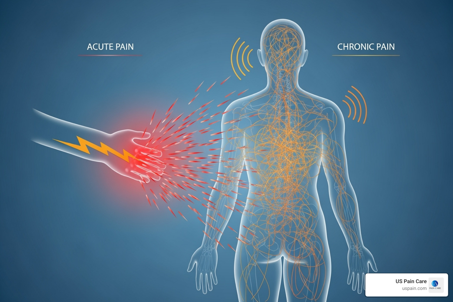 illustration of the difference between acute and chronic pain signals in the body - pain relief and wellness illustration of the difference between acute and chronic pain signals in the body - pain relief and wellness