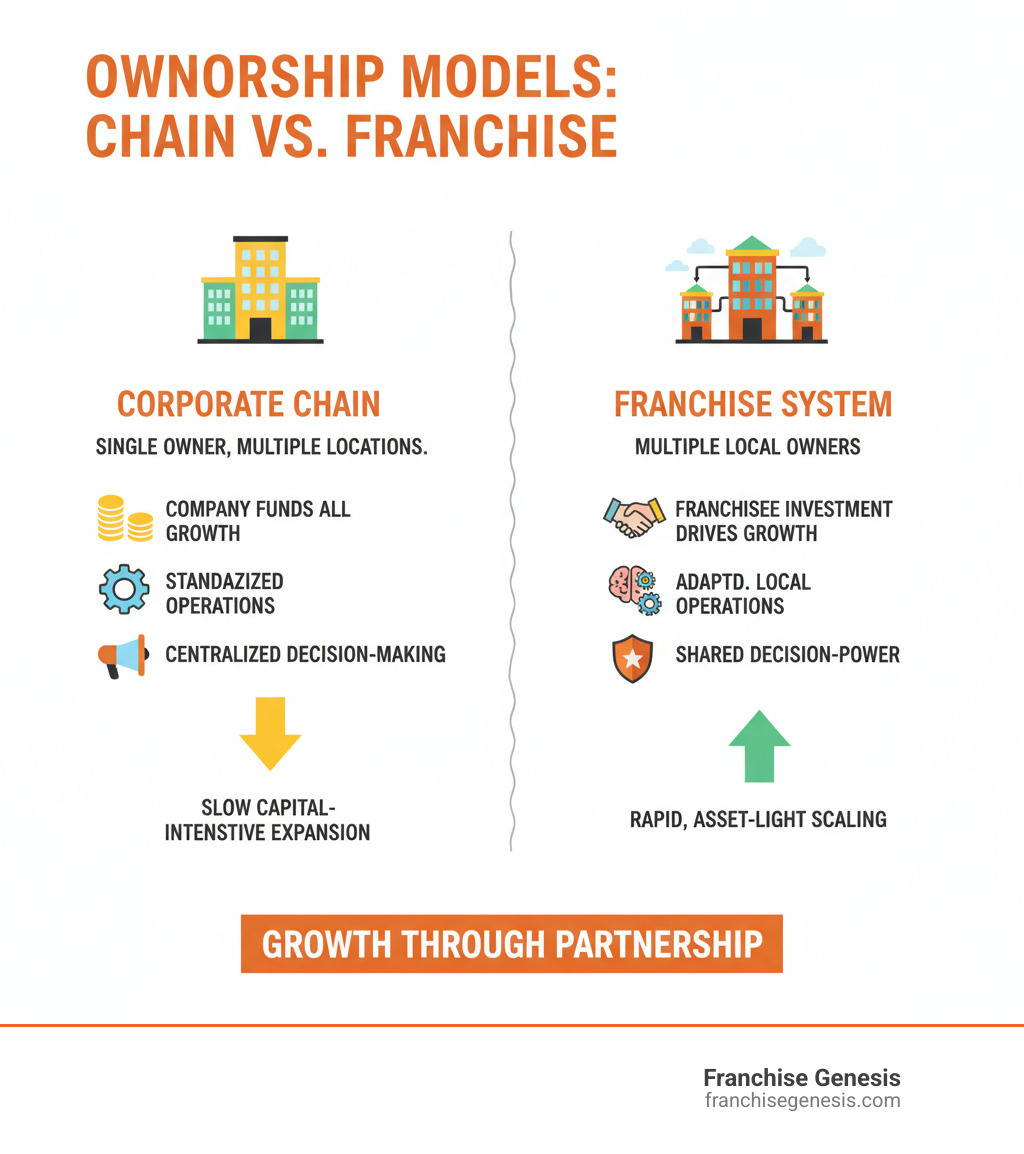 Infographic explaining the difference between a corporate-owned chain and a franchise system - Franchise development services infographic 