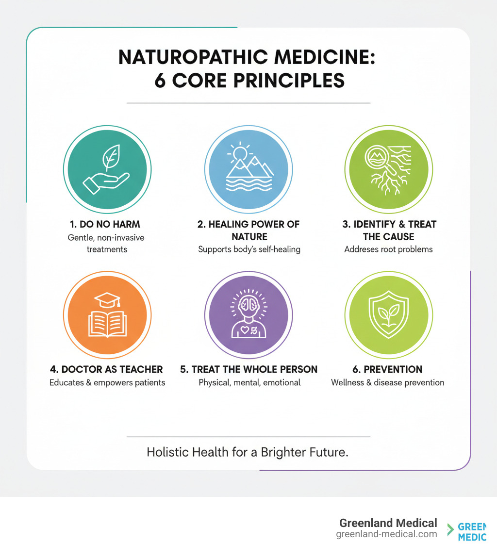Infographic showing the 6 core principles of naturopathic medicine: First Do No Harm using gentle and non-invasive treatments, The Healing Power of Nature supporting the body's natural healing processes, Identify and Treat the Cause addressing root problems not just symptoms, Doctor as Teacher educating and empowering patients, Treat the Whole Person considering physical mental and emotional aspects, and Prevention focusing on wellness and disease prevention - naturopathic doctor richmond infographic Infographic showing the 6 core principles of naturopathic medicine: First Do No Harm using gentle and non-invasive treatments, The Healing Power of Nature supporting the body's natural healing processes, Identify and Treat the Cause addressing root problems not just symptoms, Doctor as Teacher educating and empowering patients, Treat the Whole Person considering physical mental and emotional aspects, and Prevention focusing on wellness and disease prevention - naturopathic doctor richmond infographic