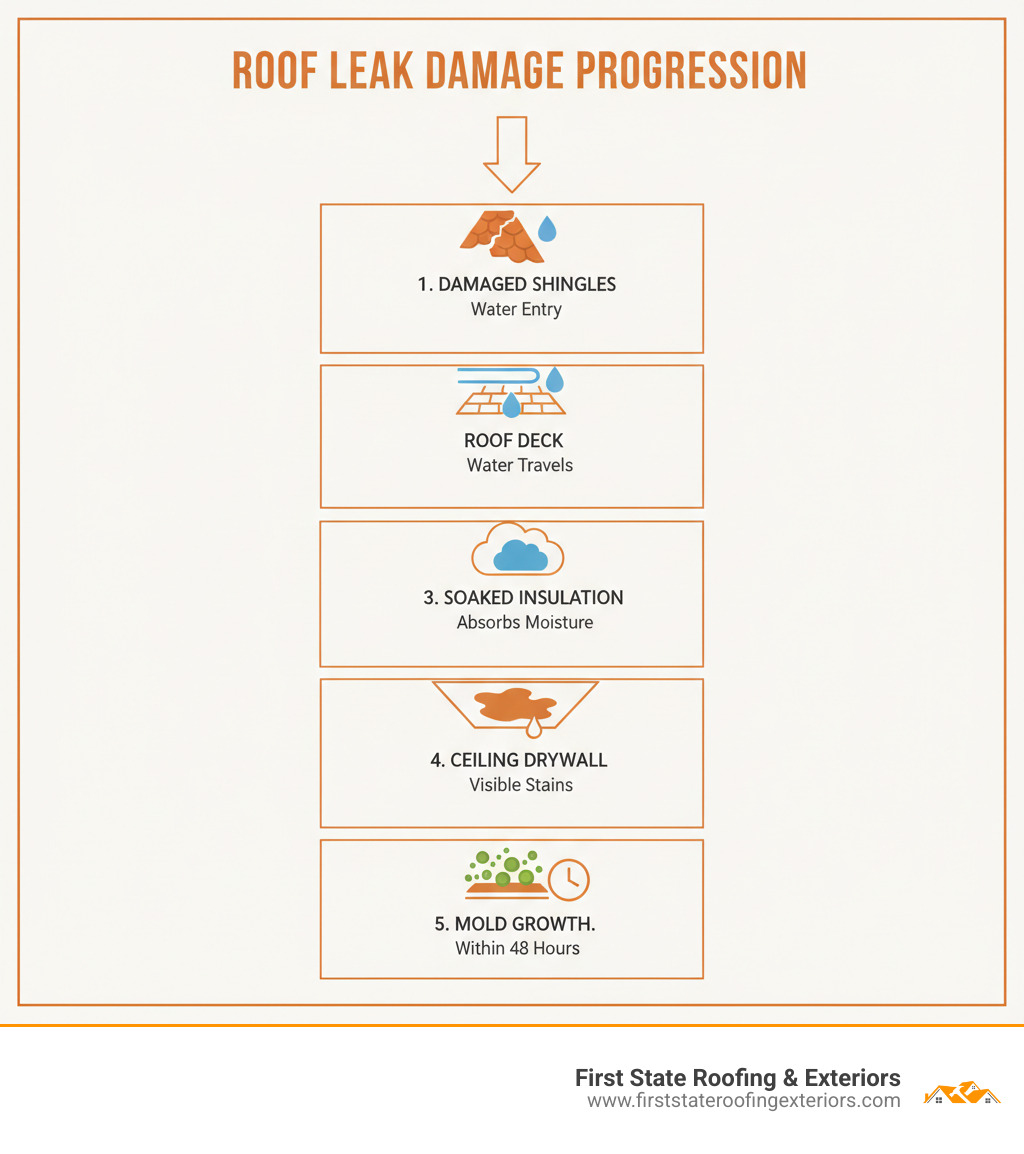 Infographic showing the progression of roof leak damage: water enters through damaged shingles, travels along roof decking, soaks insulation, stains ceiling drywall, and creates mold growth within 48 hours - roof leak repair smyrna infographic 