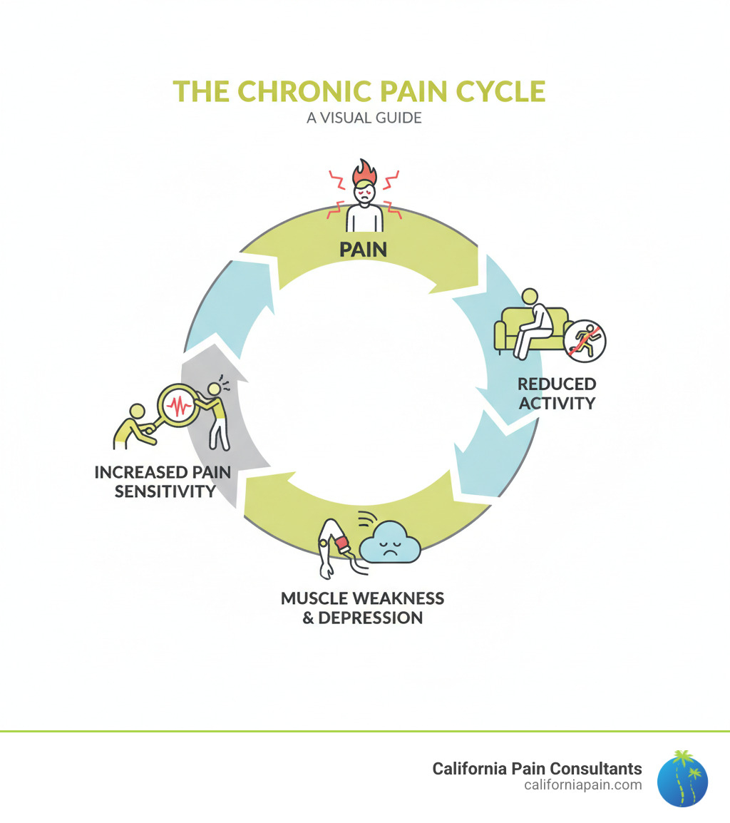 Infographic showing the chronic pain cycle: pain leads to reduced activity, which causes muscle weakness and depression, which increases pain sensitivity and creates more pain, completing the destructive cycle - at-home pain care infographic Infographic showing the chronic pain cycle: pain leads to reduced activity, which causes muscle weakness and depression, which increases pain sensitivity and creates more pain, completing the destructive cycle - at-home pain care infographic
