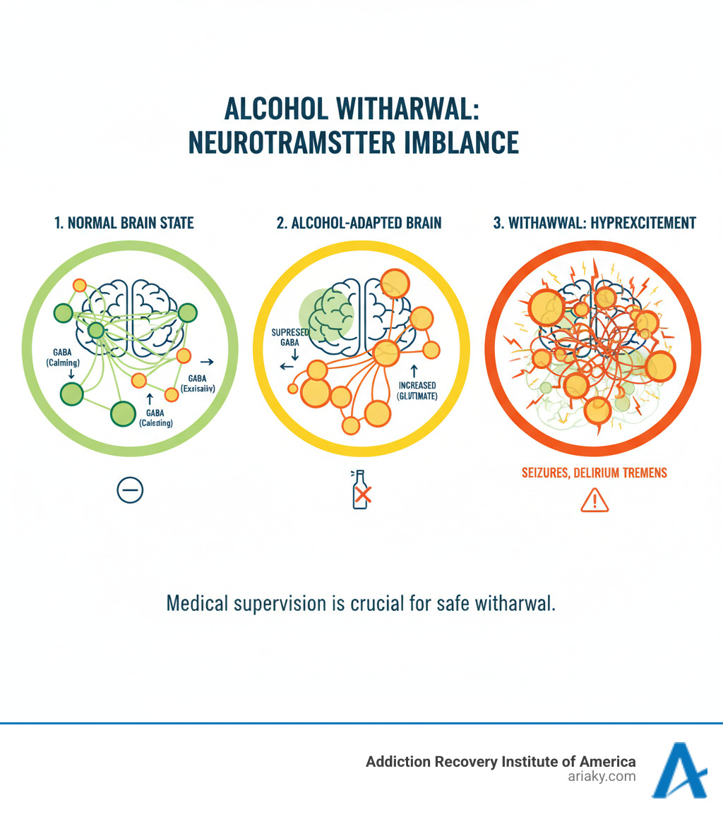 Detailed infographic showing how alcohol withdrawal affects brain neurotransmitters, depicting the normal brain state, brain adapted to alcohol with suppressed GABA and increased glutamate compensation, and the dangerous hyperexcited state during withdrawal when alcohol is removed - alcohol wd infographic 
