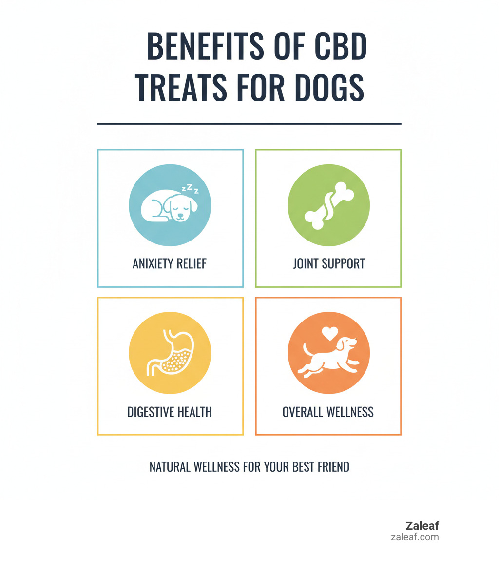 Infographic showing the key benefits of CBD treats for dogs including anxiety relief, joint support, digestive health, and overall wellness, with icons representing a calm dog, healthy joints, digestive system, and happy pet - pet cbd treats infographic Infographic showing the key benefits of CBD treats for dogs including anxiety relief, joint support, digestive health, and overall wellness, with icons representing a calm dog, healthy joints, digestive system, and happy pet - pet cbd treats infographic