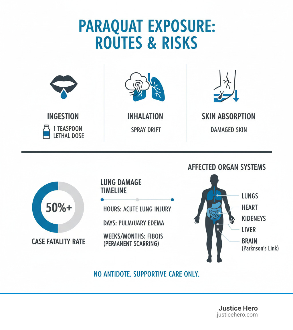 Comprehensive infographic showing paraquat exposure routes including ingestion (1 teaspoon lethal), inhalation from spray drift, skin absorption through damaged skin, with statistics showing 50%+ case fatality rate, lung damage timeline, and affected organ systems - paraquat health effects infographic 