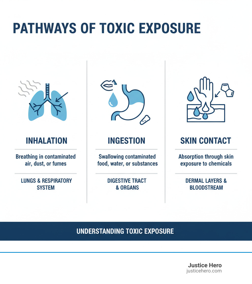 Infographic explaining the three main pathways of toxic exposure: inhalation, ingestion, and skin contact. - Toxic exposure lawyer infographic Infographic explaining the three main pathways of toxic exposure: inhalation, ingestion, and skin contact. - Toxic exposure lawyer infographic