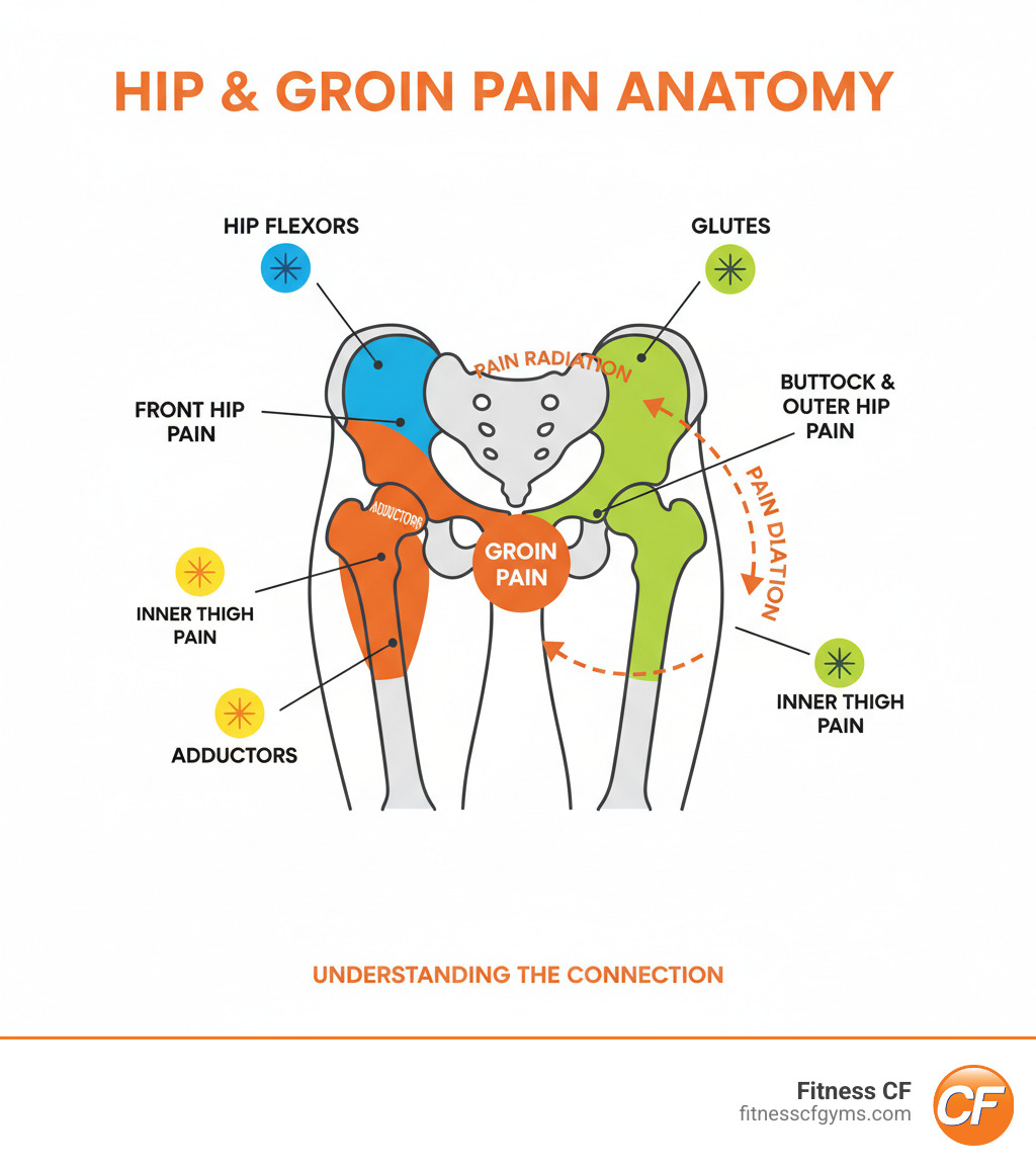 Comprehensive infographic showing the anatomy of hip and groin pain, including major muscle groups like the adductors, hip flexors, glutes, and common pain points, with arrows indicating how pain can radiate between the hip joint and groin area - how to relieve hip groin pain infographic 