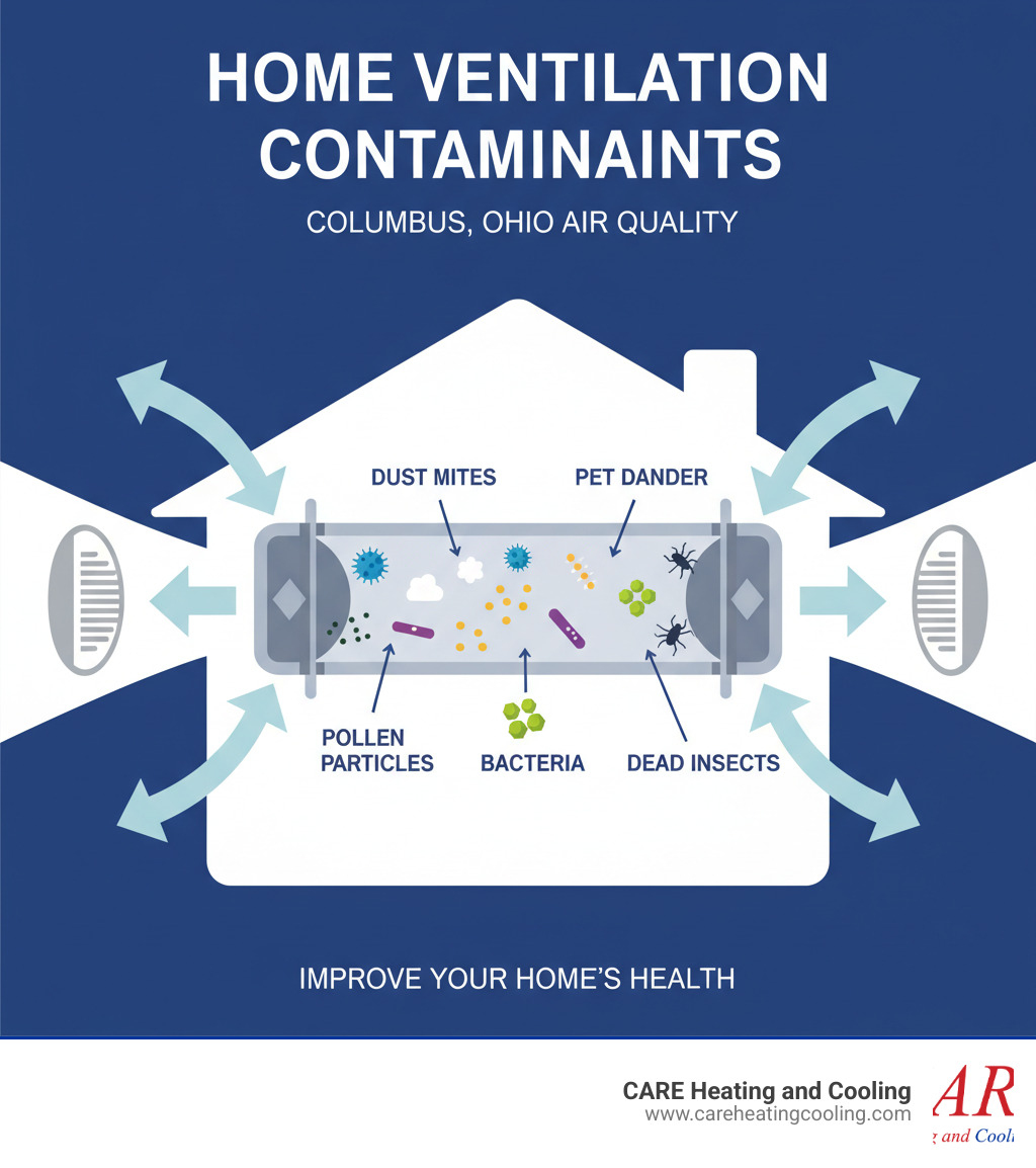 Infographic showing cross-section of air ducts filled with common contaminants including dust mites, pet dander, pollen particles, mold spores, bacteria, and dead insects, with arrows showing how these pollutants circulate through home ventilation systems - Duct cleaning Columbus infographic Infographic showing cross-section of air ducts filled with common contaminants including dust mites, pet dander, pollen particles, mold spores, bacteria, and dead insects, with arrows showing how these pollutants circulate through home ventilation systems - Duct cleaning Columbus infographic