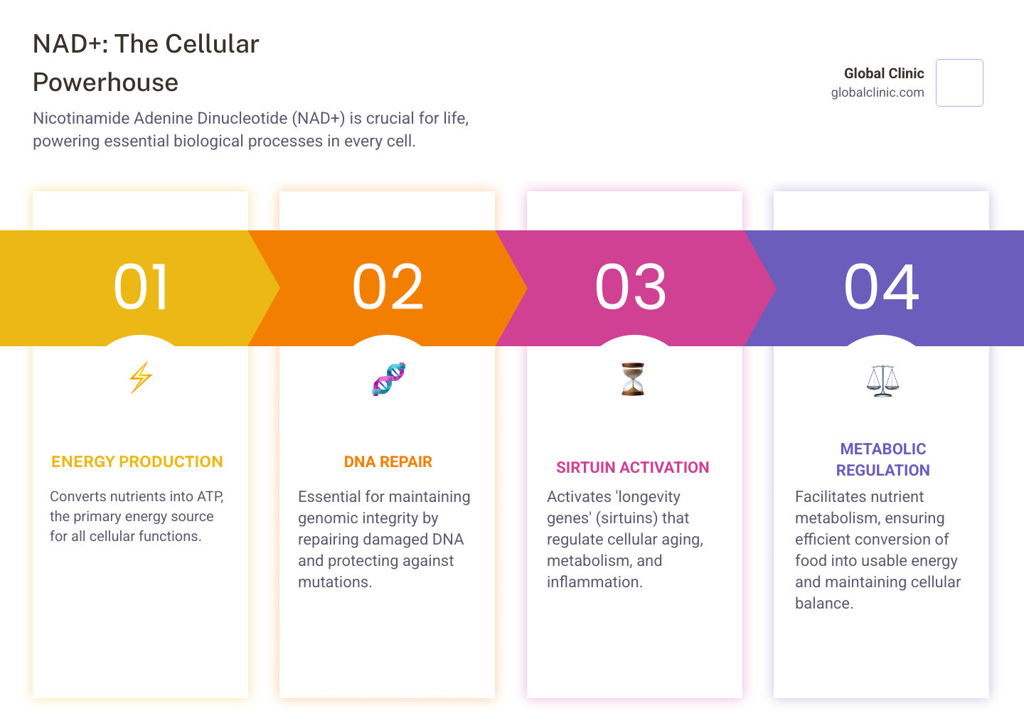 Infographic showing NAD+ molecule structure and its key functions: energy production in mitochondria, DNA repair mechanisms, sirtuin enzyme activation, cellular communication pathways, and metabolic regulation processes - benefits of nad infusion infographic pillar-4-steps